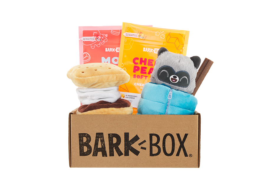 Squeakaway Camp Summer Camp themed Dog Toys